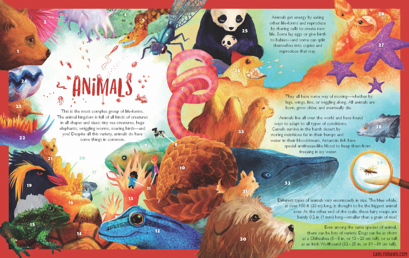 Kingdoms Of Life A non fiction picture book that introduces the different types of life on Earth. Info and teaching resources available here: Kingdoms Of Life-Eerdmans Books