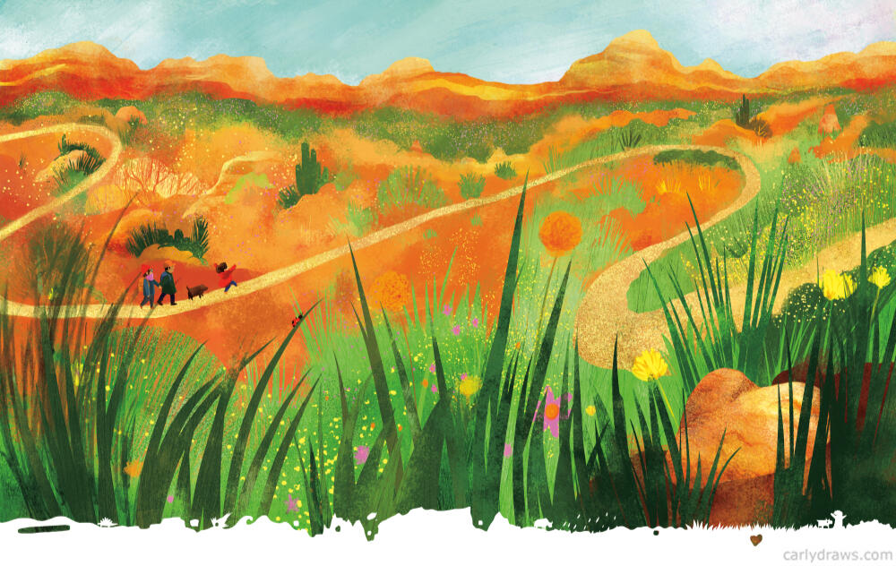 Something Spectacular - the plains