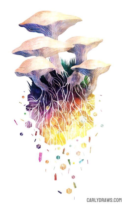 PLASTIVORE mushrooms breaking down plastics and returning them to the soil