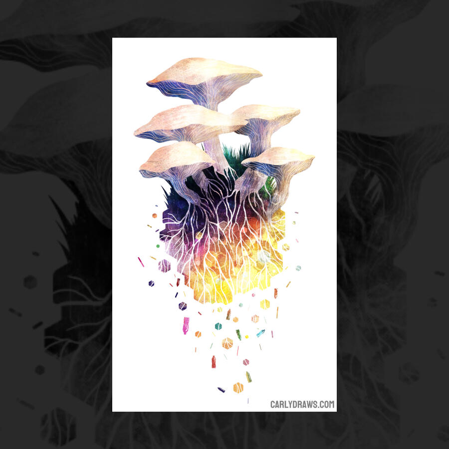 PLASTIVORE mushrooms breaking down plastics and returning them to the soil