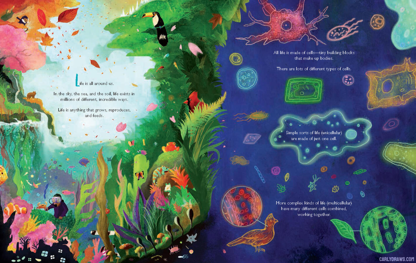 KINGDOMS OF LIFE- opening spread Info and teaching resources available here: Kingdoms Of Life-Eerdmans Books