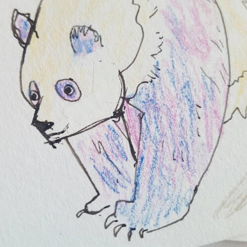 ANIMAL ANTIPODES sketches, base paintings,