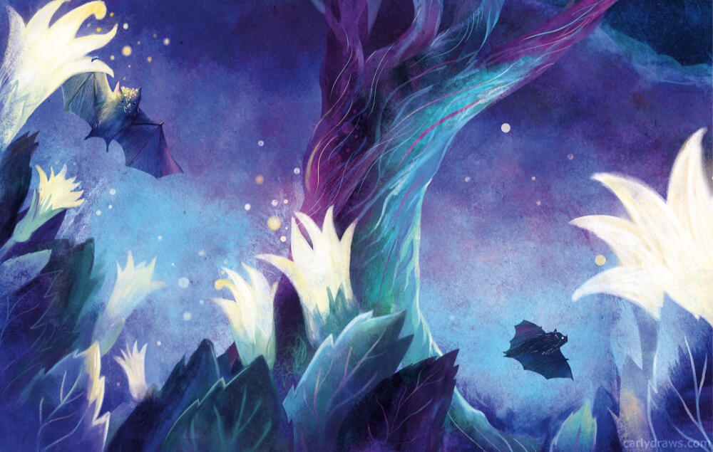 Cloud forests at midnight